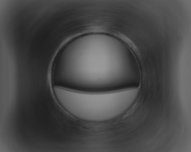 X0000100971334200806241156