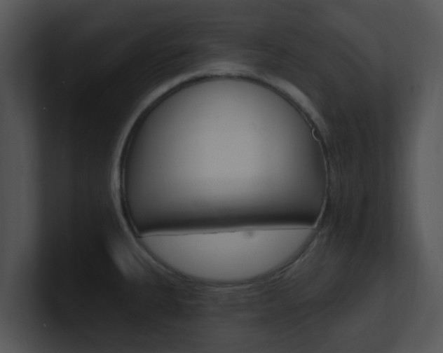 X0000100971335200806241156