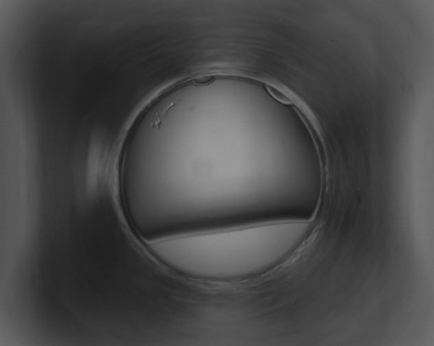 X0000100971341200806241156