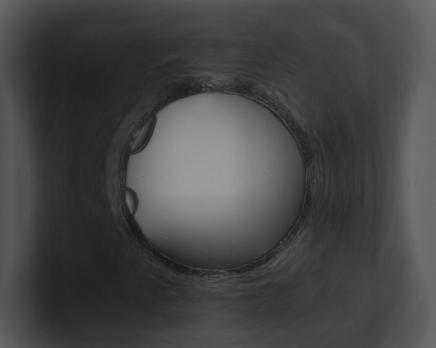X0000100971345200806241155