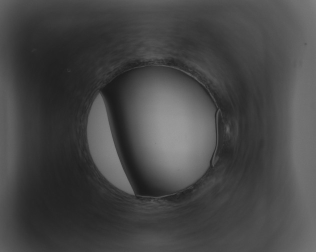 X0000100971348200806241155