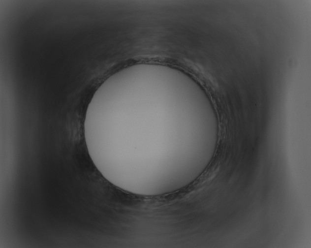 X0000100971350200806241155