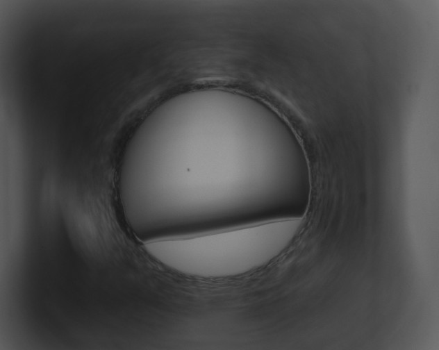 X0000100971351200806241155