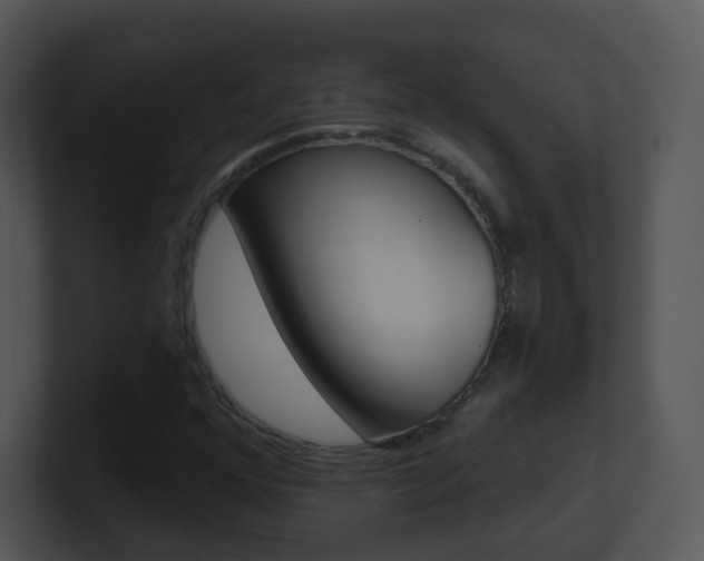 X0000100971352200806241155