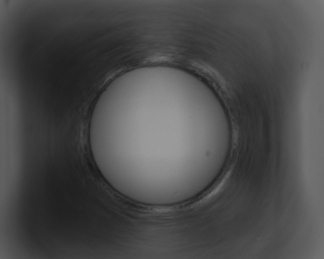 X0000100971353200806241155