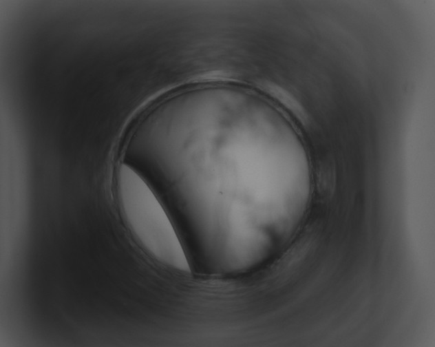 X0000100971356200806241155