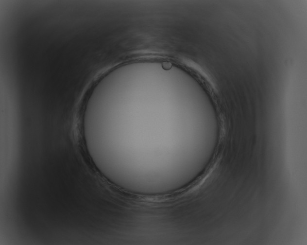 X0000100971357200806241155