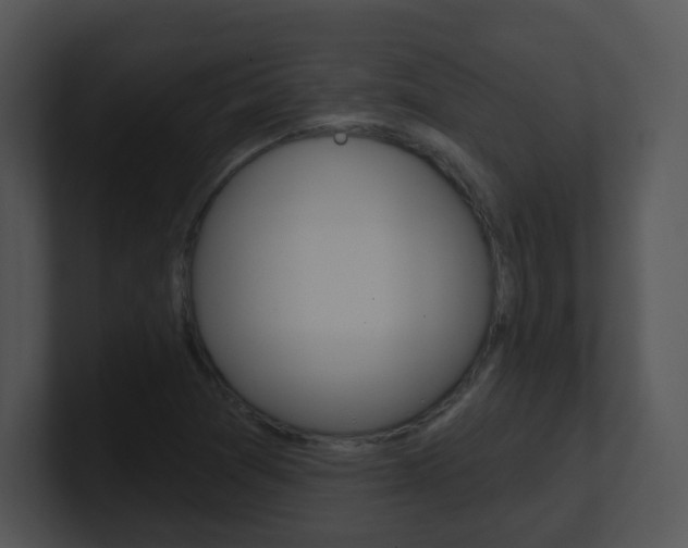 X0000100971361200806241155