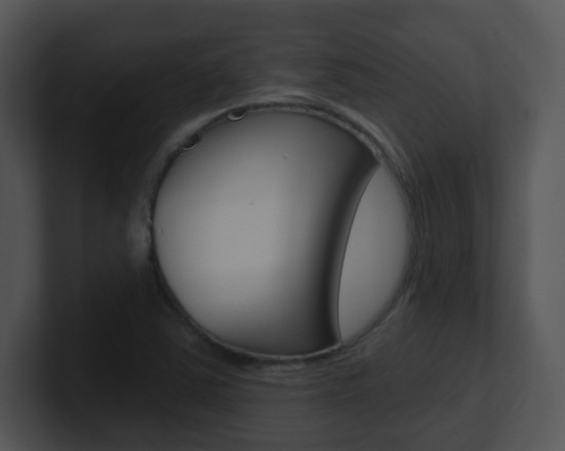 X0000100971363200806241155