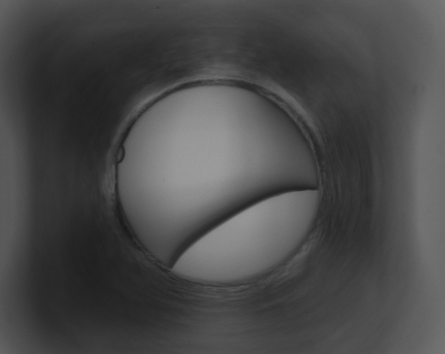 X0000100971366200806241155