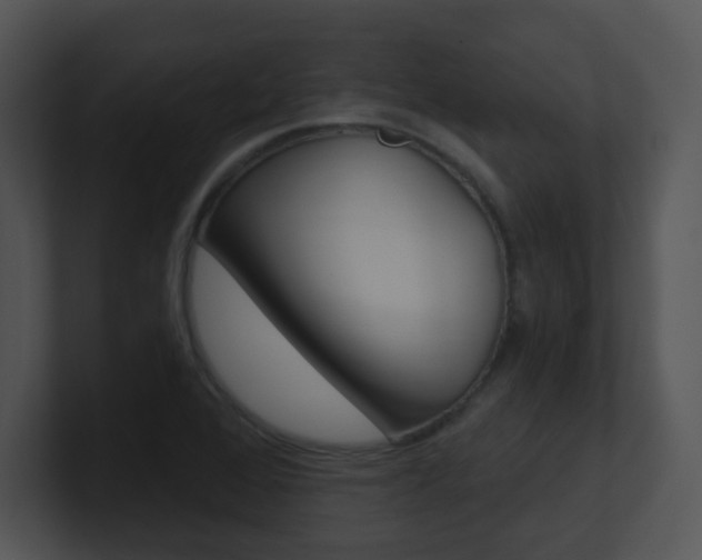X0000100971368200806241155