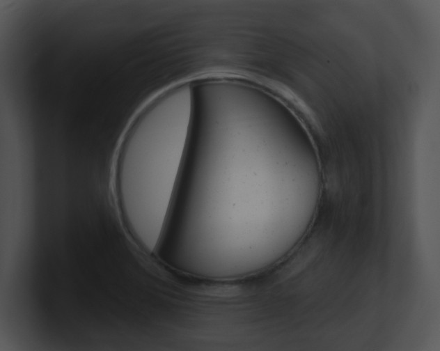 X0000100971372200806241155