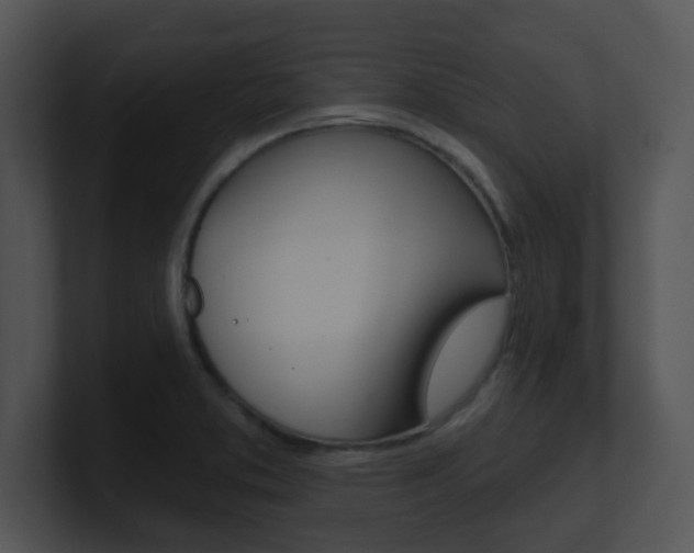 X0000100971373200806241155