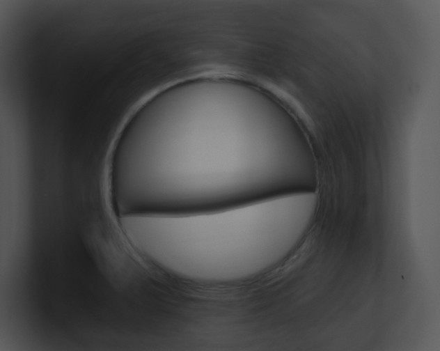 X0000100971375200806241155