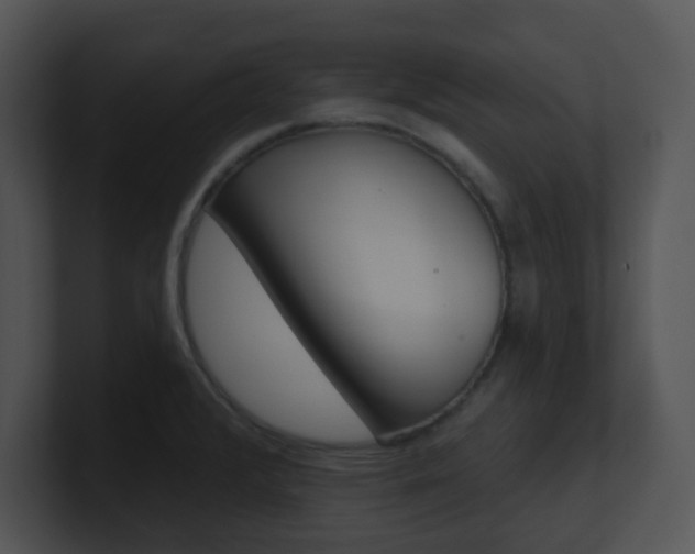 X0000100971376200806241155