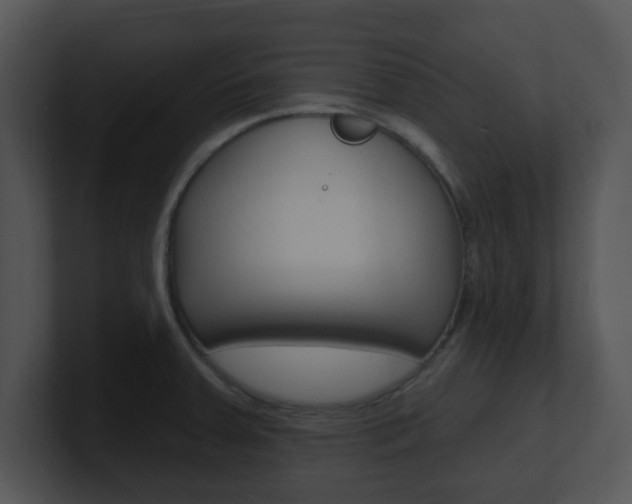 X0000100971379200806241155