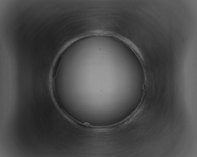 X0000100971381200806241155
