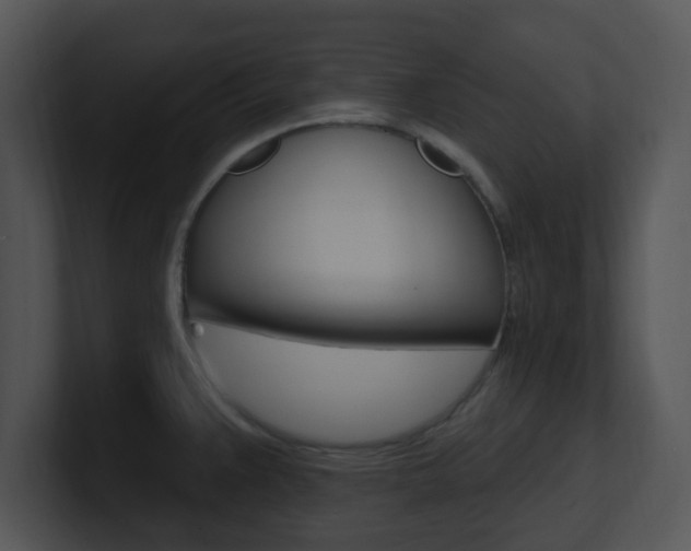 X0000100971383200806241155