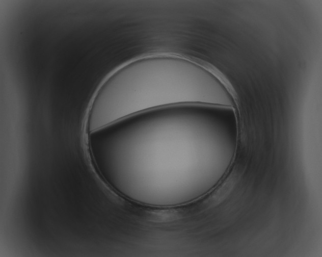 X0000100971388200806241155