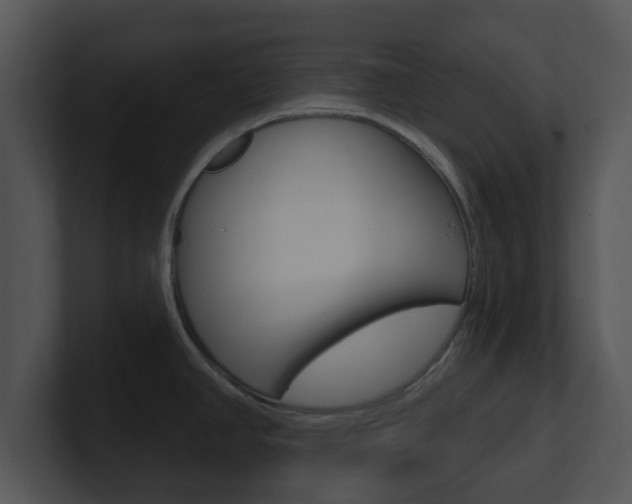 X0000100971390200806241155