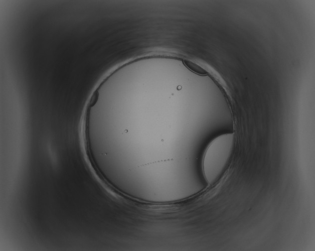X0000100971391200806241155
