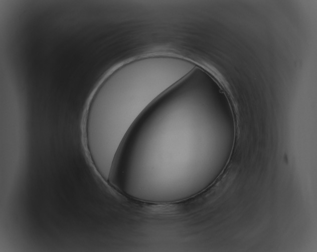 X0000100971392200806241155