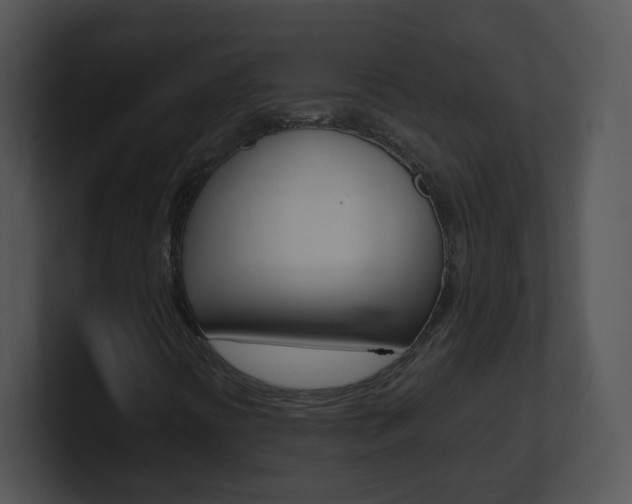 X0000100971394200806241154