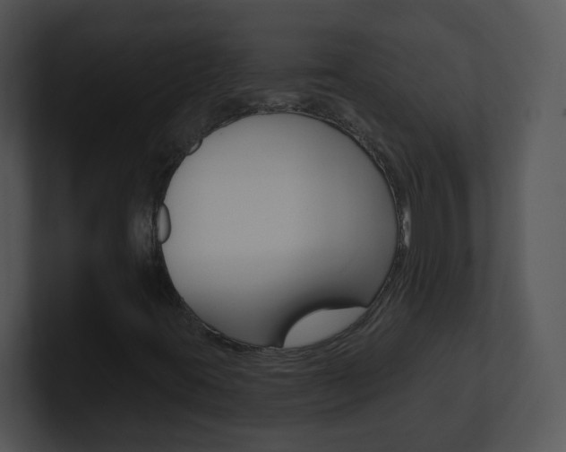 X0000100971395200806241154