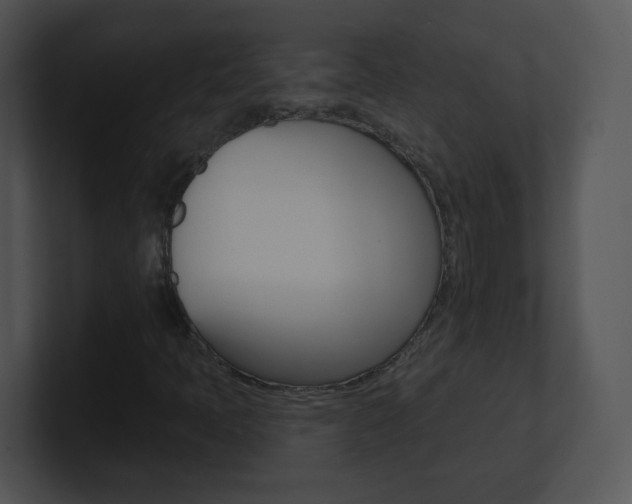 X0000100971397200806241154