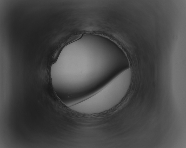 X0000100971398200806241154