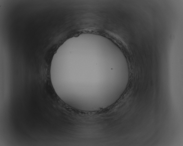 X0000100971399200806241154