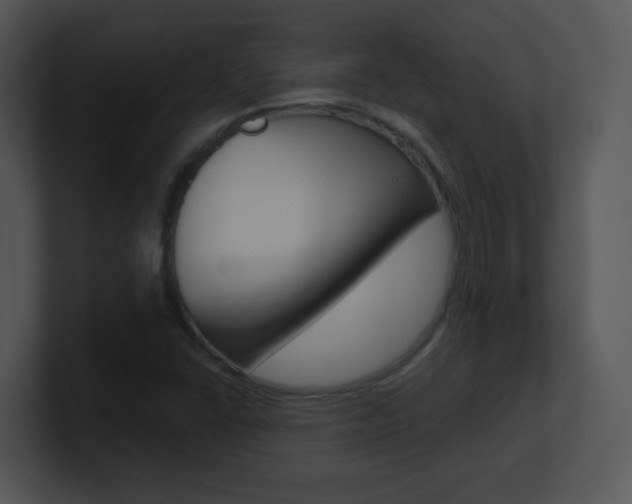 X0000100971406200806241154