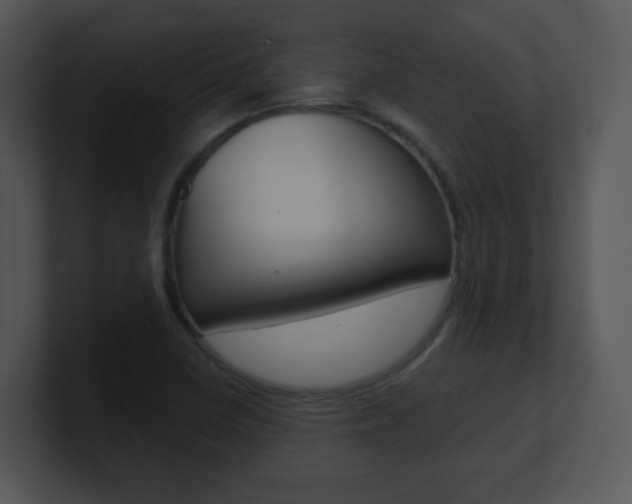 X0000100971410200806241154