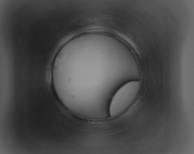 X0000100971413200806241154
