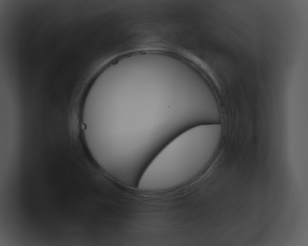 X0000100971415200806241154