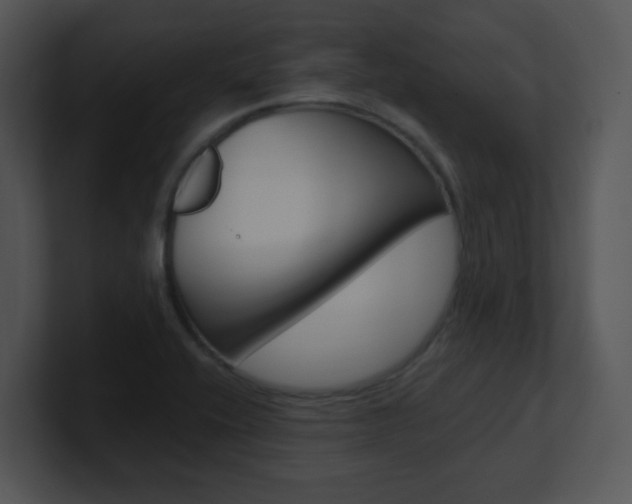 X0000100971416200806241154
