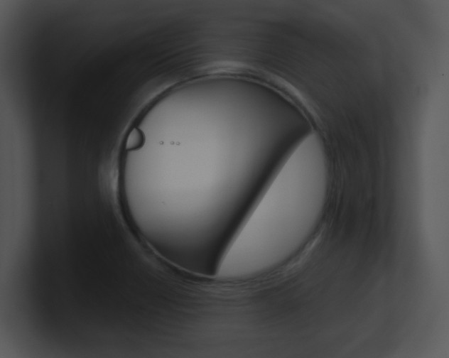 X0000100971418200806241154