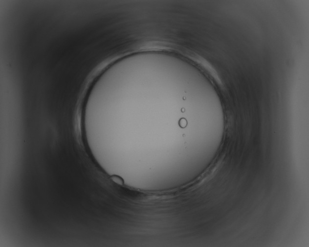 X0000100971419200806241154