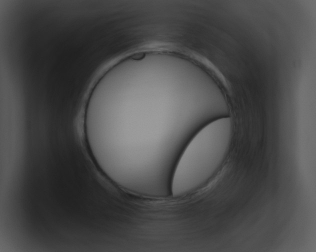 X0000100971421200806241154