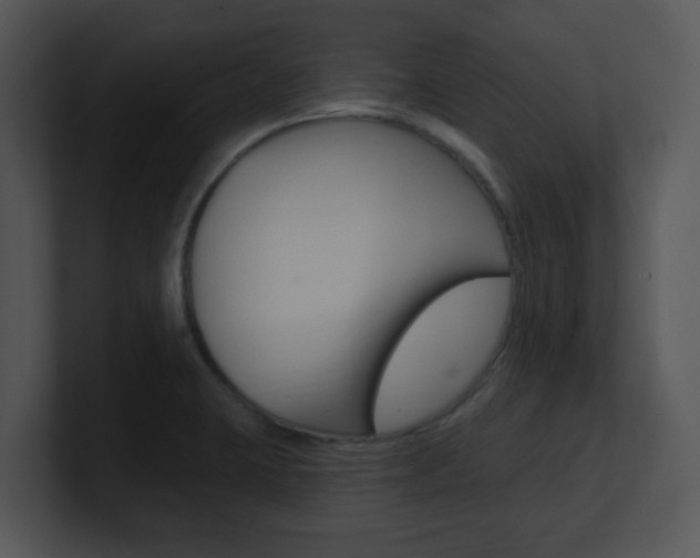 X0000100971423200806241154