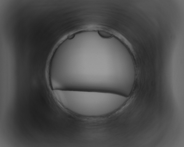 X0000100971429200806241154