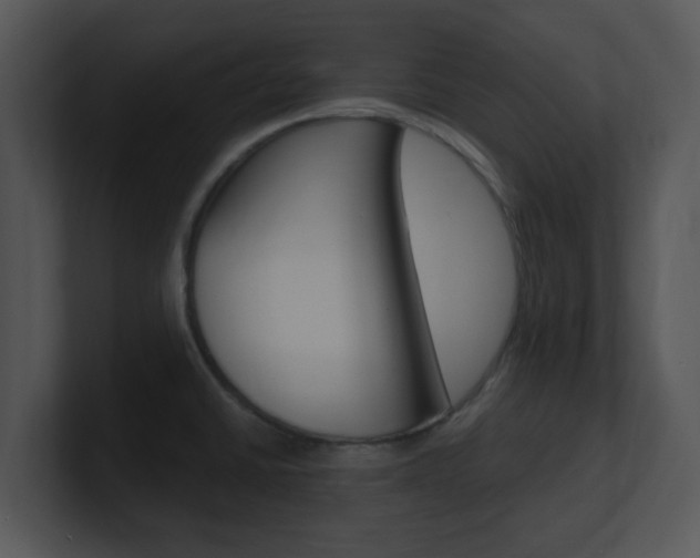 X0000100971430200806241154