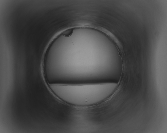 X0000100971432200806241155