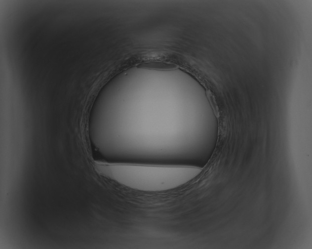 X0000100971441200806241154