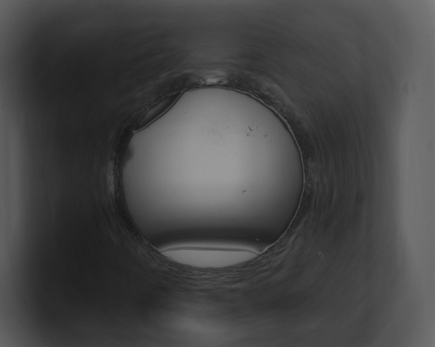 X0000100971442200806241154