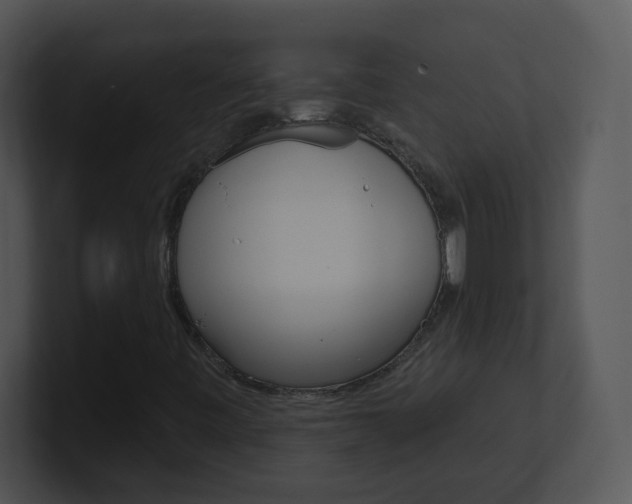 X0000100971443200806241154