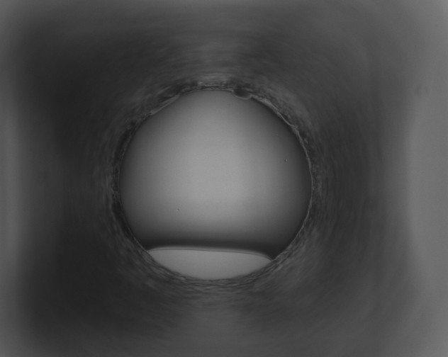 X0000100971445200806241154