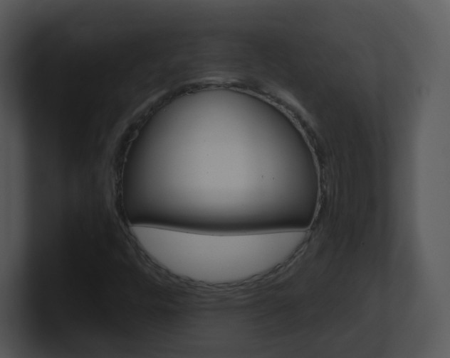 X0000100971448200806241154