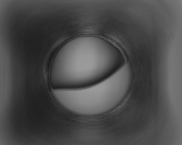 X0000100971450200806241154