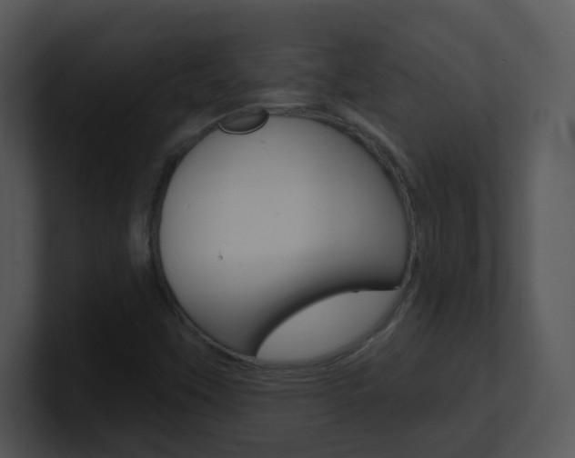 X0000100971451200806241154